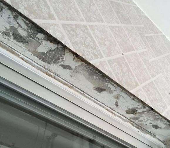 墙砖掉了几块怎么补救水泥没掉下来(墙砖掉了几块怎么补救水泥没掉下来呢)